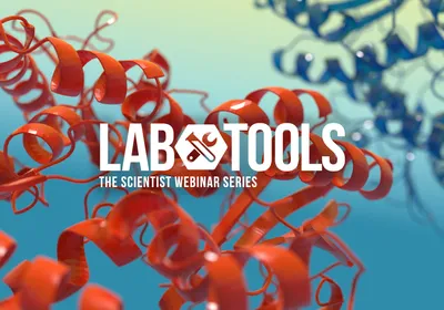 Using Mass Photometry to Assess and Characterize Protein Samples&nbsp;